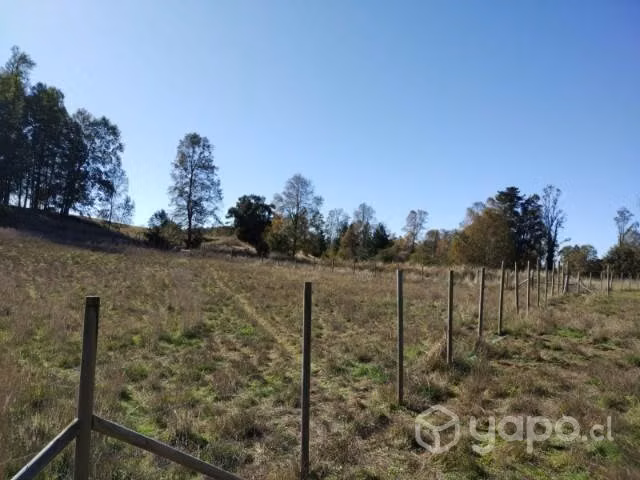 Parcela en praderas de nancahue loncoche - Imagen 9