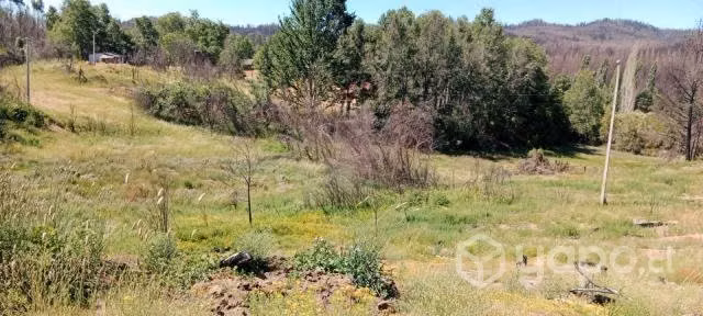 Terreno de 19.000 m2