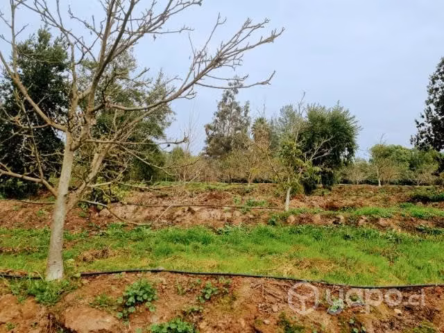 Venta terreno, Codigua Melipilla