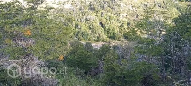 Se vende campo - Imagen 6