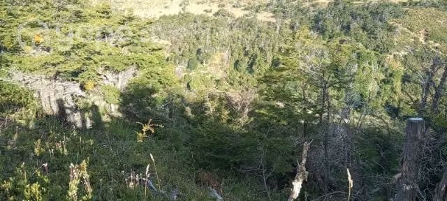 Se vende campo - Imagen 7
