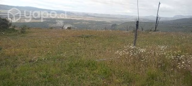 Se vende campo