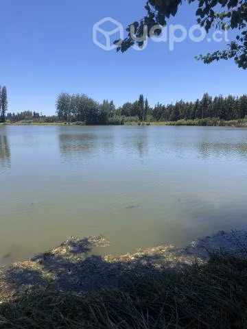 Venta de sitio 425 m2 - Imagen 3