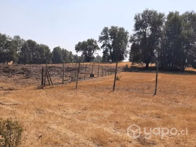 Terreno en la comuna de Quilaco