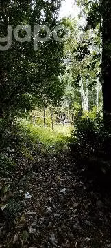 Terreno en venta Queilen - Chiloé