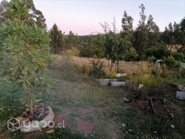 Parcela con casa - Imagen 12