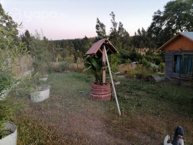 Parcela con casa - Imagen 3