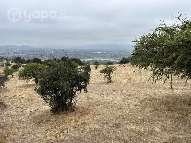 Terreno 5.000 mt2 factibilidad luz y agua