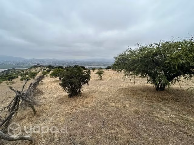 Terreno 5.000 mt2 factibilidad luz y agua