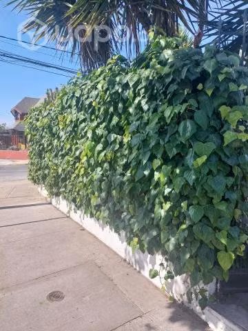 Vendo propiedad comercial y vivienda