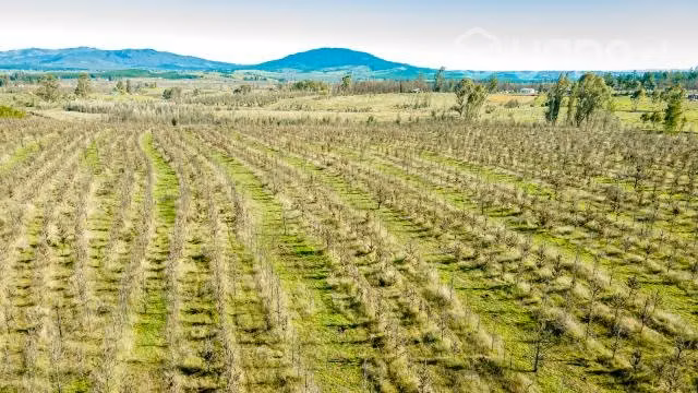 Parcelas en ñuble de 5000m2