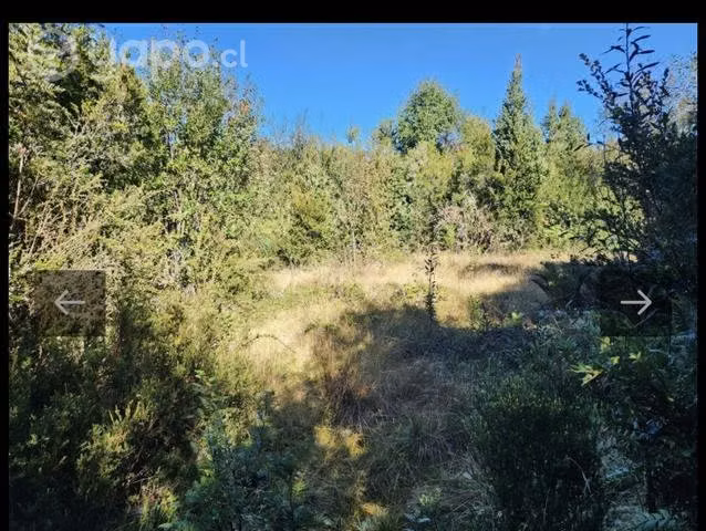Parcela sector correntoso