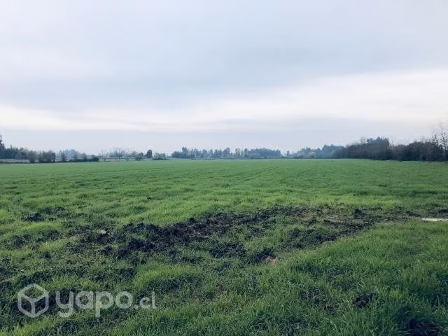 Parcela 10 ha Santa Graciela, Las Rastras, Talca
