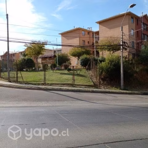 Disponible en temporada de verano