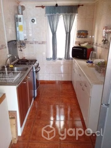 Disponible en temporada de verano