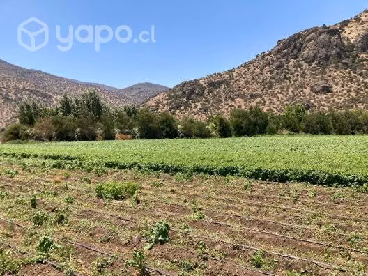 Exepcional oferta Condominio Santa Amalia