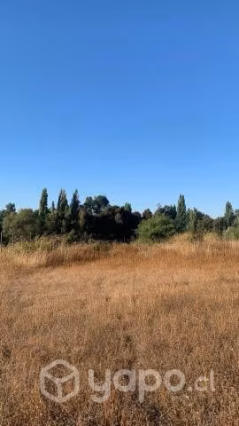 Terreno 5.000 m2 - VII Región de maule - Imagen 4