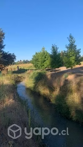 Terreno 5.000 m2 - VII Región de maule - Imagen 5