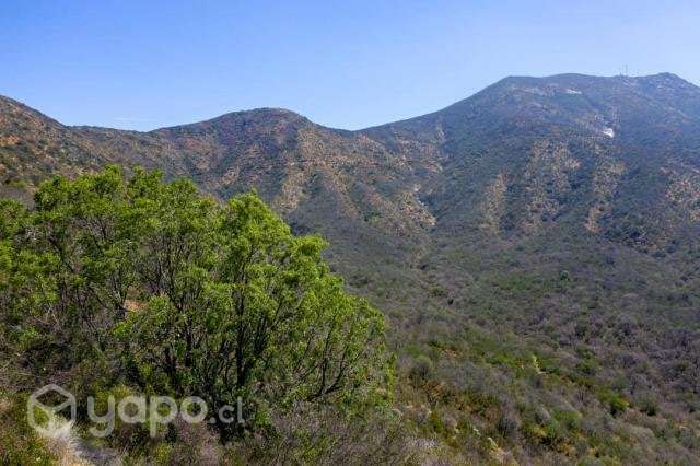 Parcela 5000m2 nilhuel 5ta region (catemu) - Imagen 2