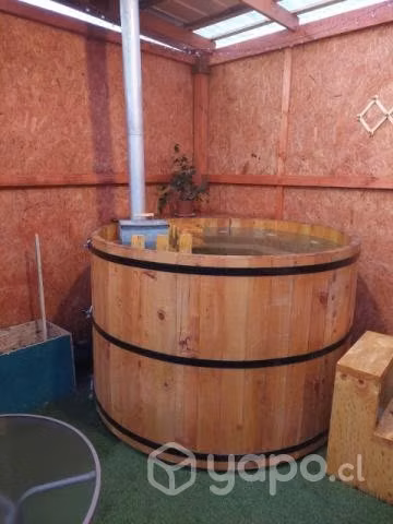 Se arriendan cabañas en Colcura