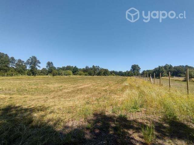 Se vende parcela terreno chileno - Imagen 5