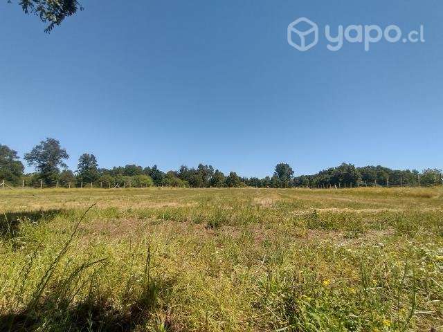 Se vende parcela terreno chileno - Imagen 4