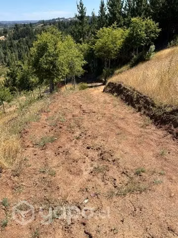 Terreno - Imagen 2