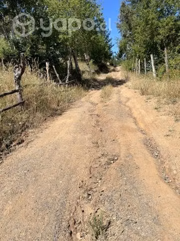 Terreno - Imagen 3