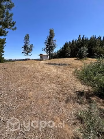 Terreno - Imagen 5