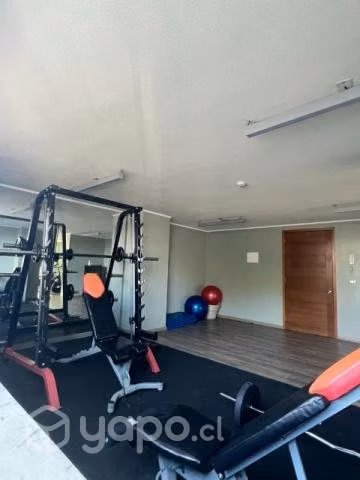 Arriendo departamento 1 dormitorio, año corrido