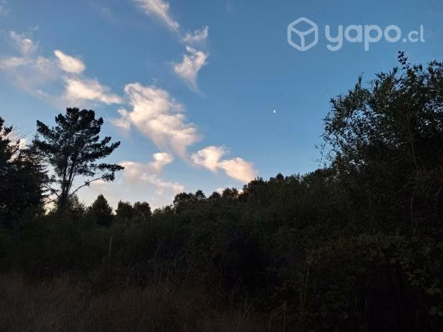 Parcelas ecológicas en Valdivia ,sector Casablanca - Imagen 6