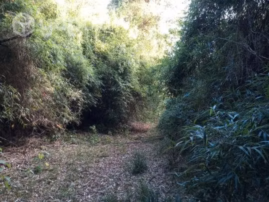 Parcelas ecológicas en Valdivia ,sector Casablanca - Imagen 3