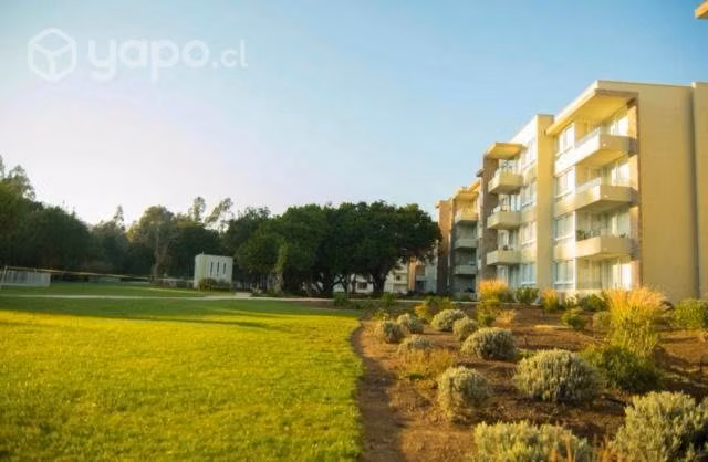 Lomas de Papudo Año Nuevo 2024