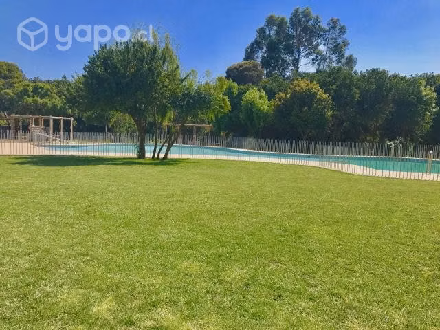 Lomas de Papudo Año Nuevo 2024