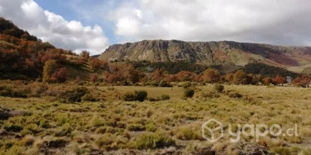 Parcelas en Lonquimay