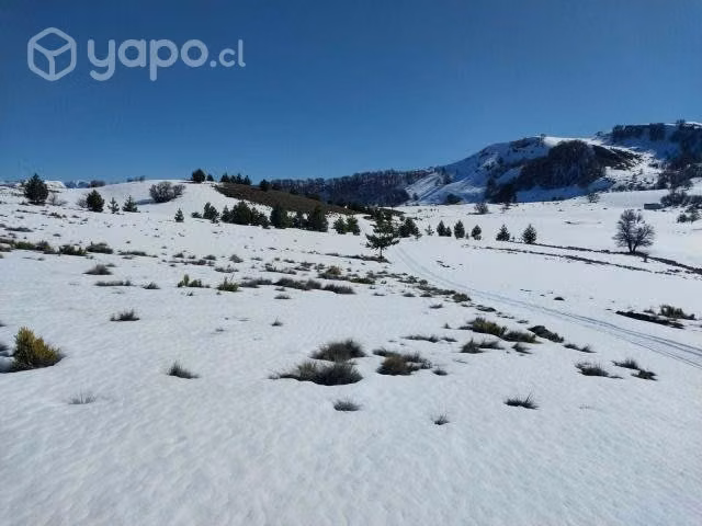 Parcelas en Lonquimay