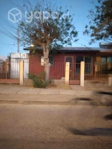Casa vicuña