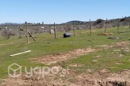 4.9ha en la región del Maule, loteado - Imagen 3