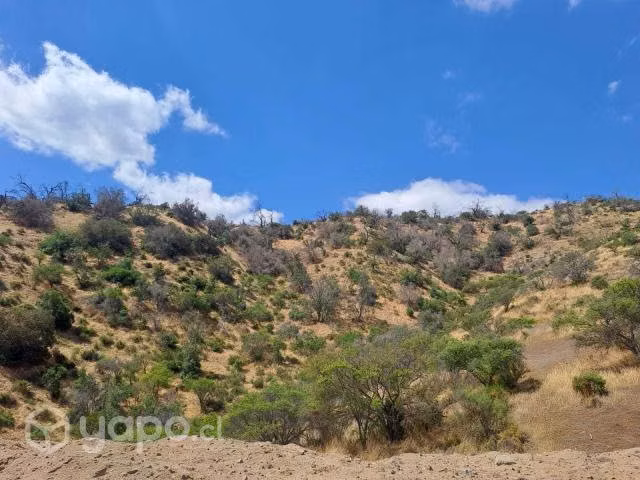 Terreno Curacavi