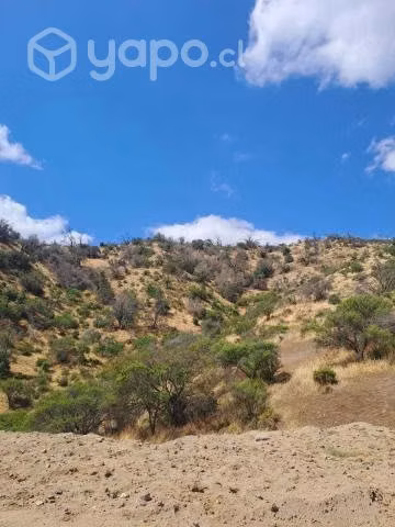 Terreno Curacavi