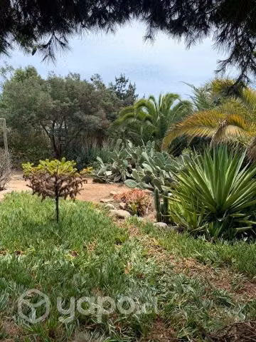 Casa a 650 mts de la playa verano