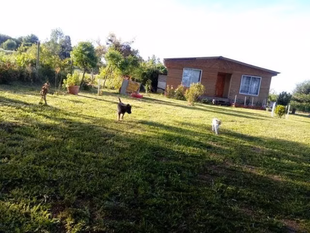 Vendo parcela con casa y servicios en quillon