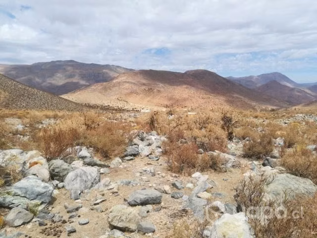Venta de terreno valle del elqui