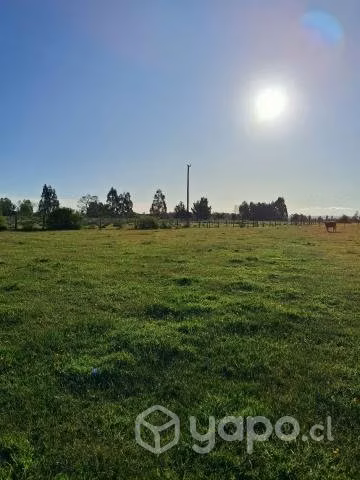 Vendo hermosa parcela en Los Muermos