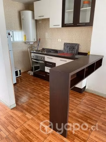 Arriendo depto