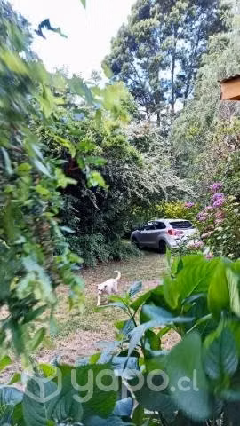 Cabañas en Coñaripe (Lago Calafquen)