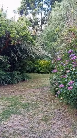 Cabañas en Coñaripe (Lago Calafquen)