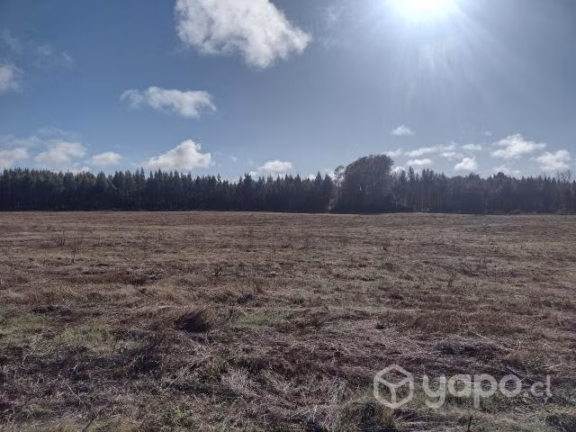 Vendo parcela de 15,20 HA