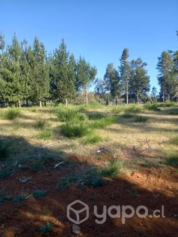 Venta Sitio