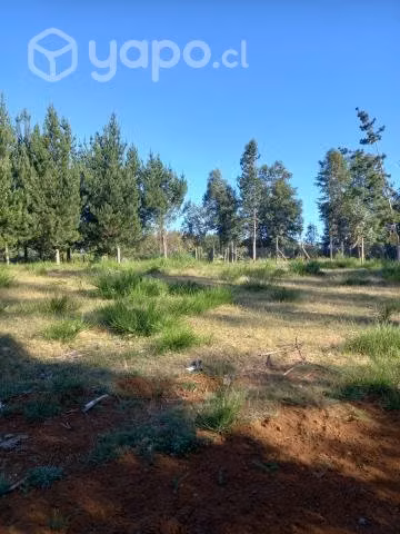 Venta Sitio